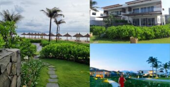 Hình ảnh cây cối bây giờ ở Alma resort do các CSH khác chụp